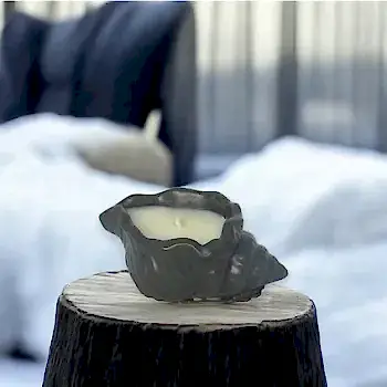 Okyanus  Kokulu Soya Mumu - Marevox